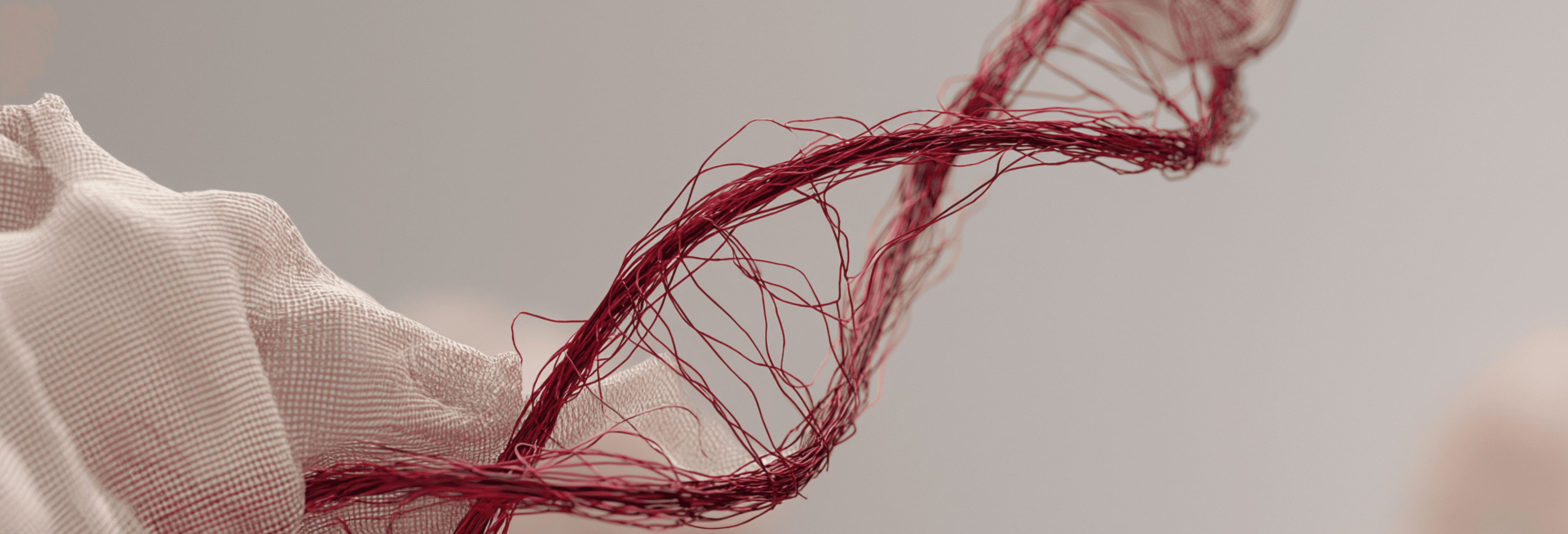 Abstract red thread forming a DNA strand